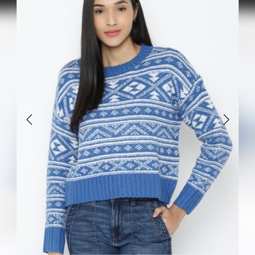 NWT American Eagle Fairisle Snowdrift Crew Neck Knit Sweater Large